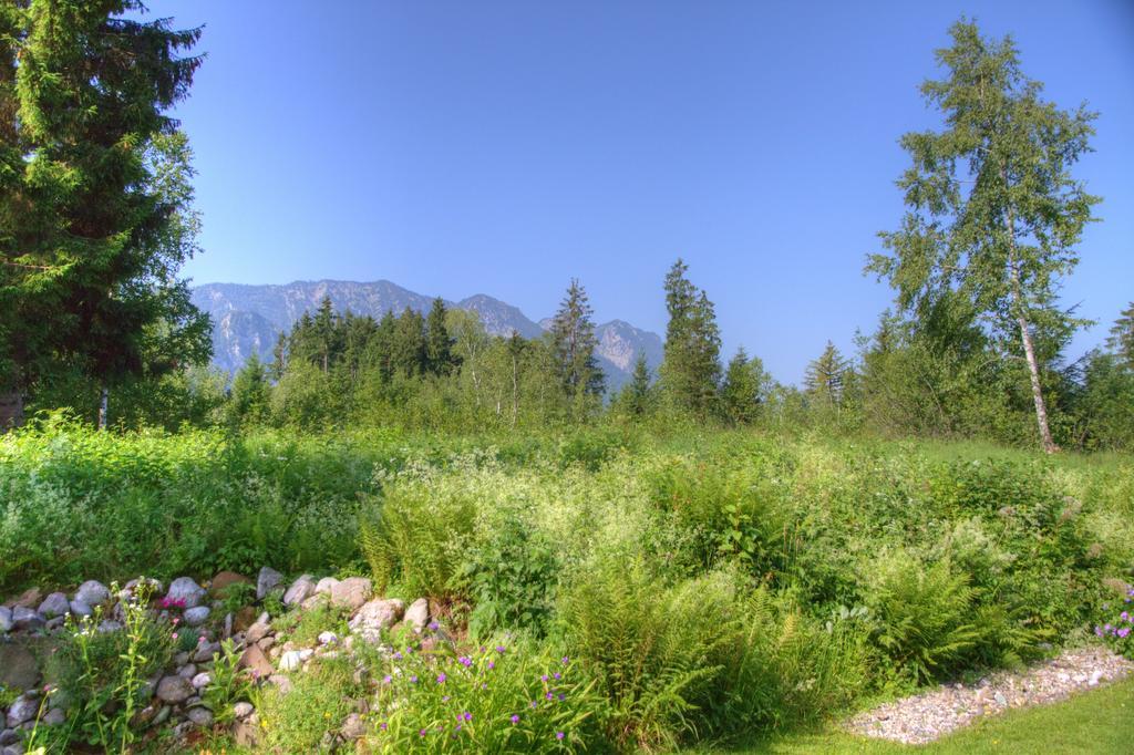 Ferienwohnung Haus Rieder Inzell Εξωτερικό φωτογραφία